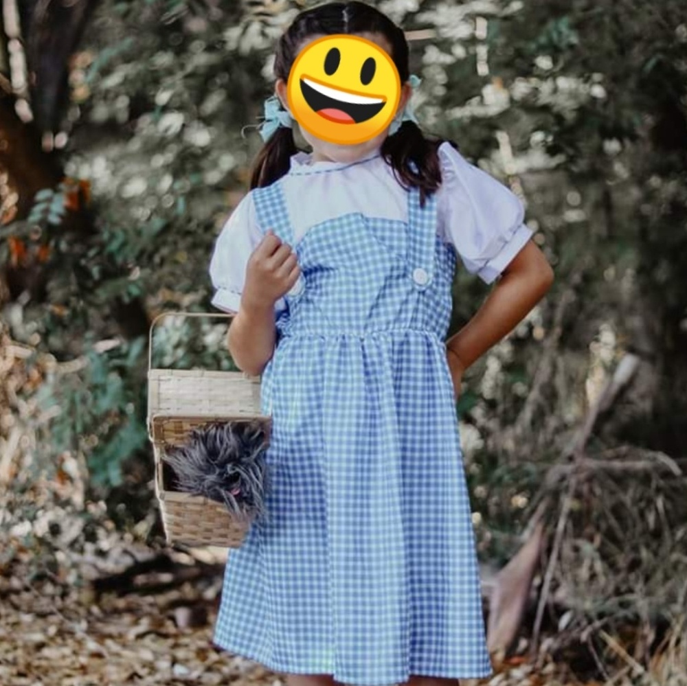Girl's Dorothy Costume and Ruby Slipper Lot